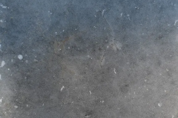 Kazino Coins Game Atbalsts